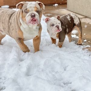 Meet your Posher, Hilda